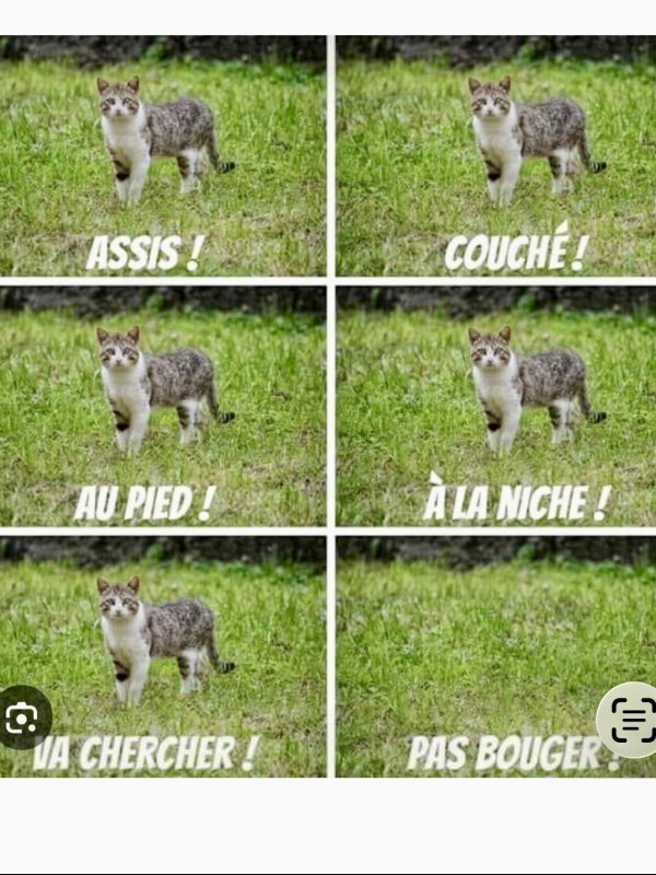 Photo A