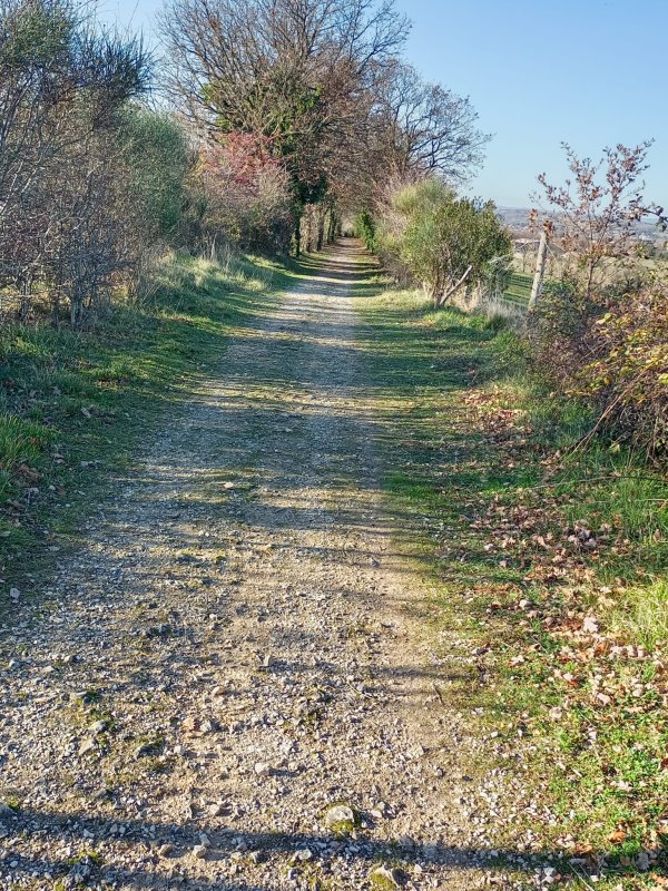 Photo A