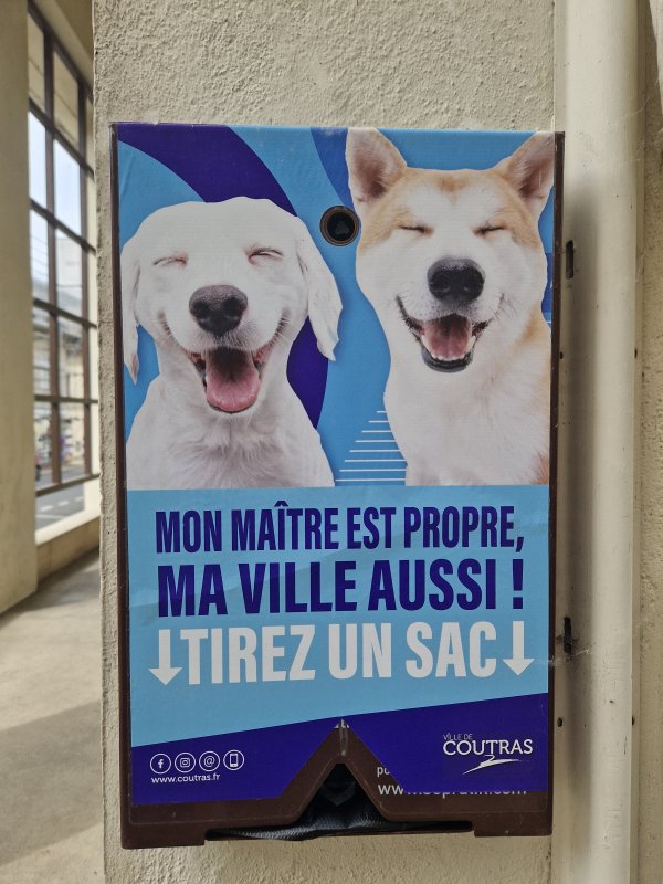 Photo A
